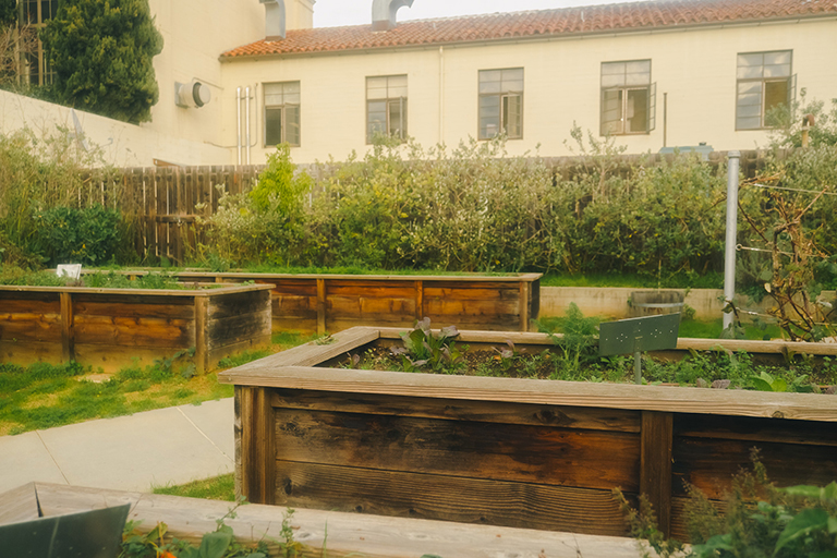 Clark Kerr Garden Beds