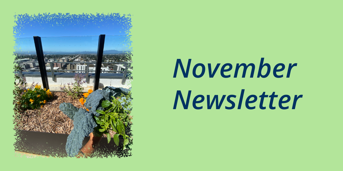 November Newsletter 